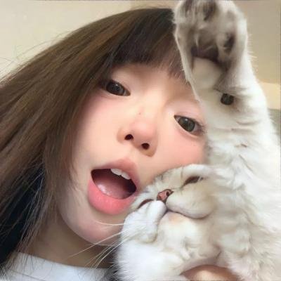 怪盗山猫